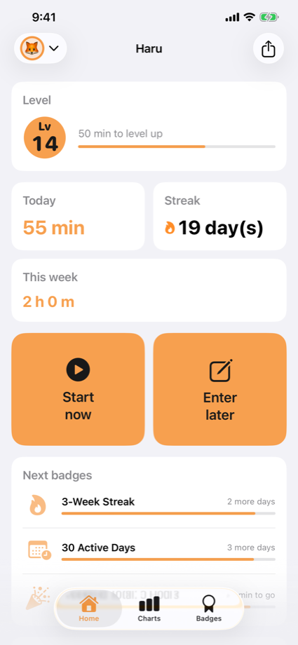 The home screen with streak and level